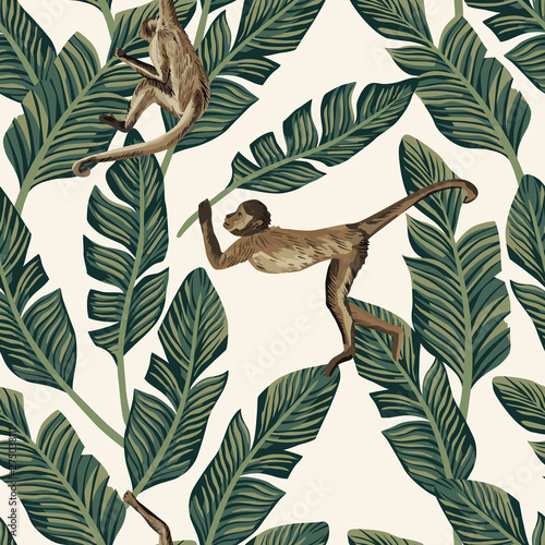 Fotomural Monkey banana leaves seamless white background