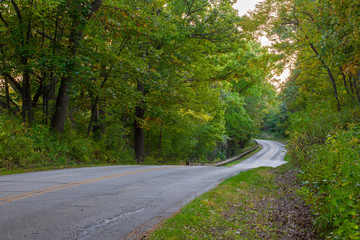 road in forest