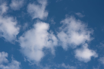Wall Mural - clouds against the sky