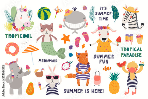 Big summer set with cute animals, quotes, fruits, drinks, pool floats. Isolat...