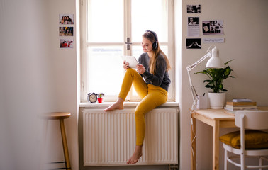 Wall Mural - A young female student sitting on window sill, using tablet when studying.