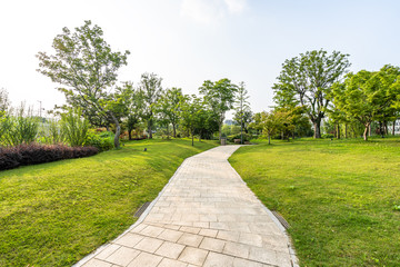 road in park