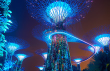 Gardens By The Bay At Night In Singapore