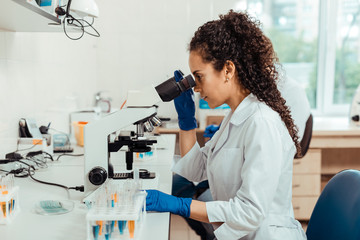 Wall Mural - smart young woman sitting in front of the microscope