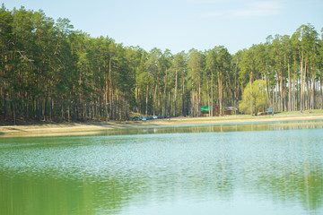 lake in the forest