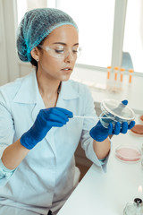 Wall Mural - nice thoughtful woman holding a petri dish