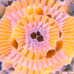 Aufkleber - Colored organic voronoi pattern. Digital illustration, futuristic organic surface design. 3d rendering