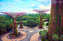 Gardens By The Bay  With Supertree In Singapore