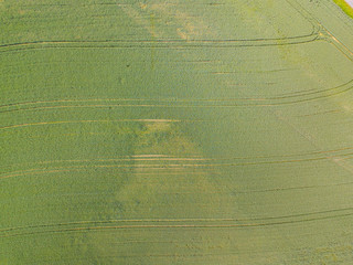Wall Mural - Overhead view of agricultural field in Europe.