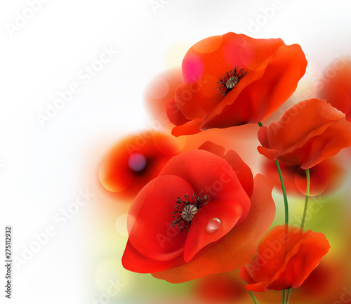 Dekoracja na wymiar  tlo-czerwony-kwiat-maku-ilustracja-wektorowa