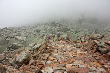 Wall Mural - some hikers walk along an ancient mule track on the maritime alps, in italy.