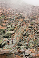 Wall Mural - some hikers walk along an ancient mule track on the maritime alps, in italy.