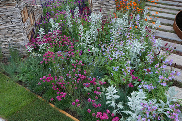 Wall Mural - Flower border in a garden with Habitat Walls providing home for garden creatures and insects