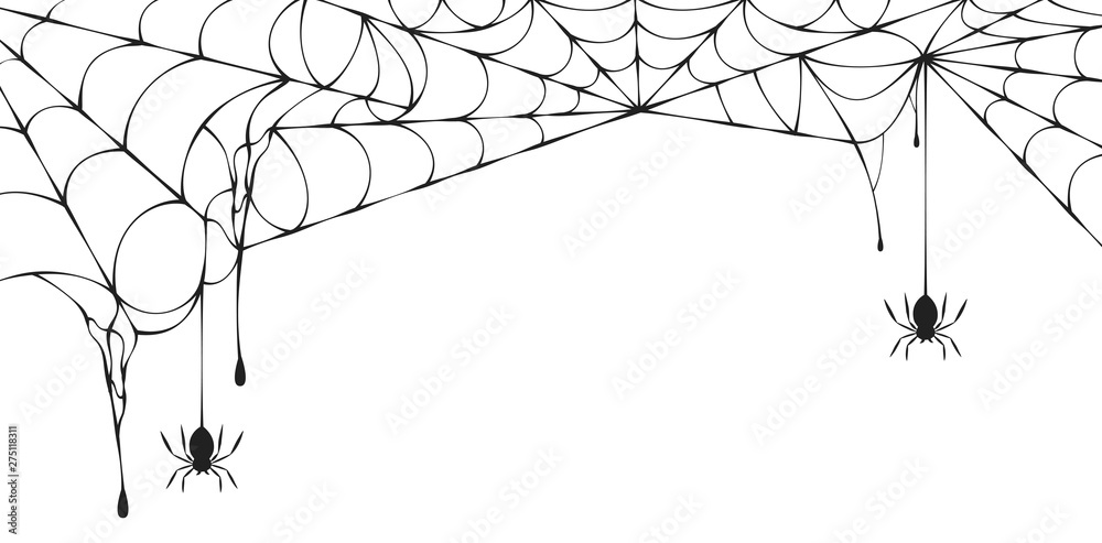 Halloween spiderweb border with hanging spiders. Vector isolated spooky background for october night party and invitations. - obrazy, fototapety, plakaty 