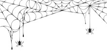 Halloween Spiderweb Border With Hanging Spiders. Vector Isolated Spooky Background For October Night Party And Invitations.