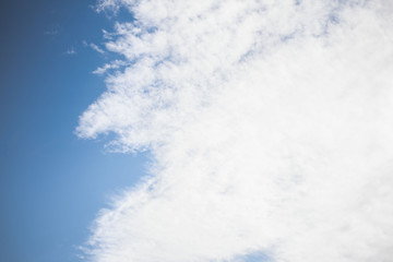 Wall Mural - white clouds against the blue sky