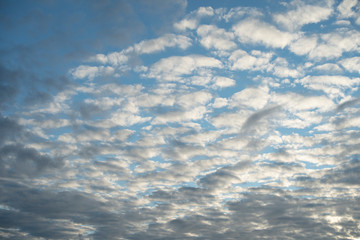 Wall Mural - white clouds against the blue sky