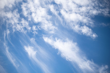Wall Mural - white cirrus clouds against the blue sky. fluffy clouds