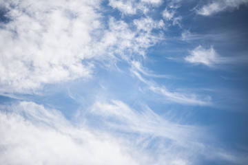 Wall Mural - white cirrus clouds against the blue sky. fluffy clouds