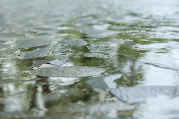 Wall Mural - View of city street on rainy day, closeup