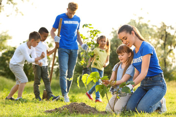 Wall Mural - Kids planting trees with volunteers in park