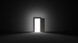 An open door with bright light streaming into a very dark room. 3D rendering illustration