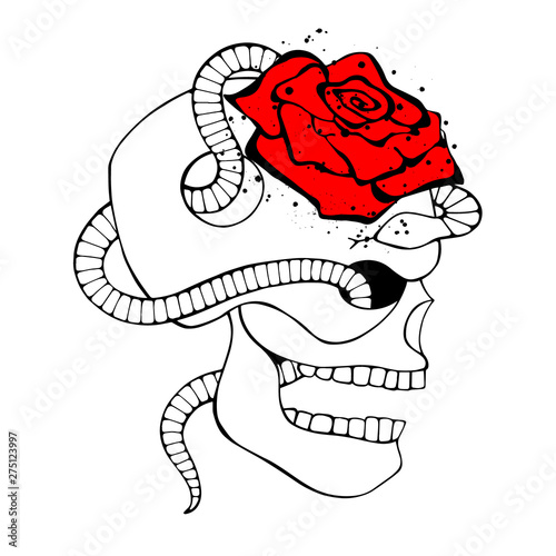 Vector Black White Red Hand Drawn Illustration Skull With