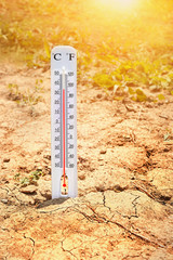 thermometer on sandy soil and dry grass background. concept image for global warming earth. thermome