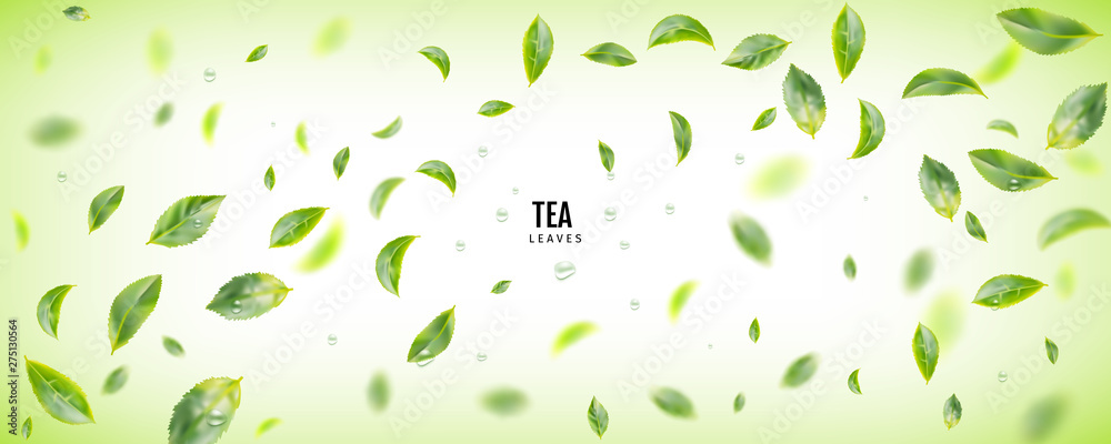 Flying Fresh Green Tea Leaves Vector Background Stock Vector | Adobe Stock