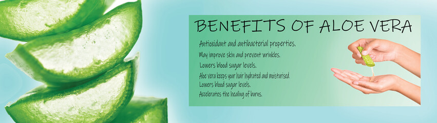 Wall Mural - benefits of aloe vera, aloevera banner