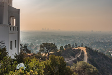 Wall Mural - Famous Griffith observatory in Los Angeles california