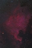 Fototapeta Na sufit - North American Nebula in Cygnus