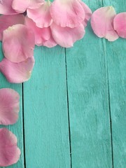 Rose petals pink, summer background