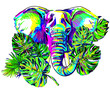 Elephant in the jungle. Head with bosom with leaves of tropical plants, colorful drawing.
