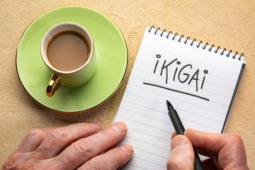 Canvas Print - ikigai - a reason for being