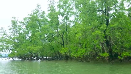 Poster - Mangroves of Ko Thalu Ok Island attract tourists to take a row boat or longtail boat and explore this unique ecosystem, neighboring with limestone sea caves of Ao Phang Nga national park, Thailand