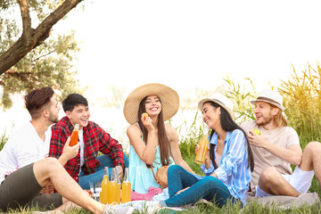 Poster - Happy friends on picnic in park