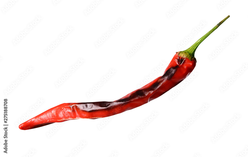 Grilled chili pepper on white background