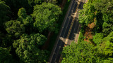 Fototapeta Uliczki - aerial view landscape of Tree or forest and road , Krabi Thailand - Image