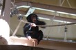 Chimpanzee's baby is playing with rope.