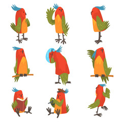 Poster - Funny Bird Cartoon Character in Different Situations Set, Cute Birdie with Bright Colorful Feathers and Tuft Vector Illustration