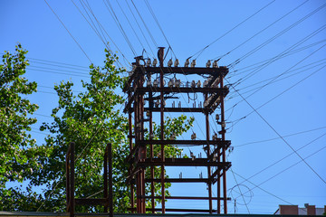  Post with wires