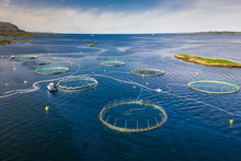 Salmon Fish Farm In Norway Fjord