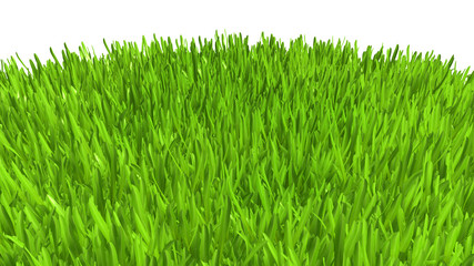 Wall Mural - Green grass. background texture. fresh spring green grass. 3d rendering