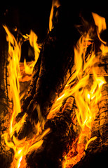 Wall Mural - bright orange languages of a fire on wooden logs at night. wood on fire. bonfire at night. campfire. beautiful flame on black background. fire on black background. burning wood . beautiful fire textur