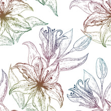 Beautiful Colorful Seamless Pattern With Lily Flowers . Vector Illustration. EPS 10