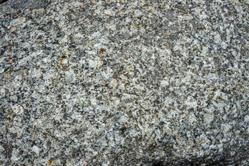 Texture of wild natural stone