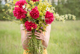 Fototapeta Lawenda - A girl in a dress holds a large bouquet with peonies and wild flowers on a green meadow in summer