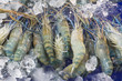 Fresh prawn or river Shrimp on ice at seafood market ,raw for cooking.
