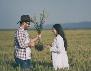 Wall Mural - Farmer and agronomist in wheat field